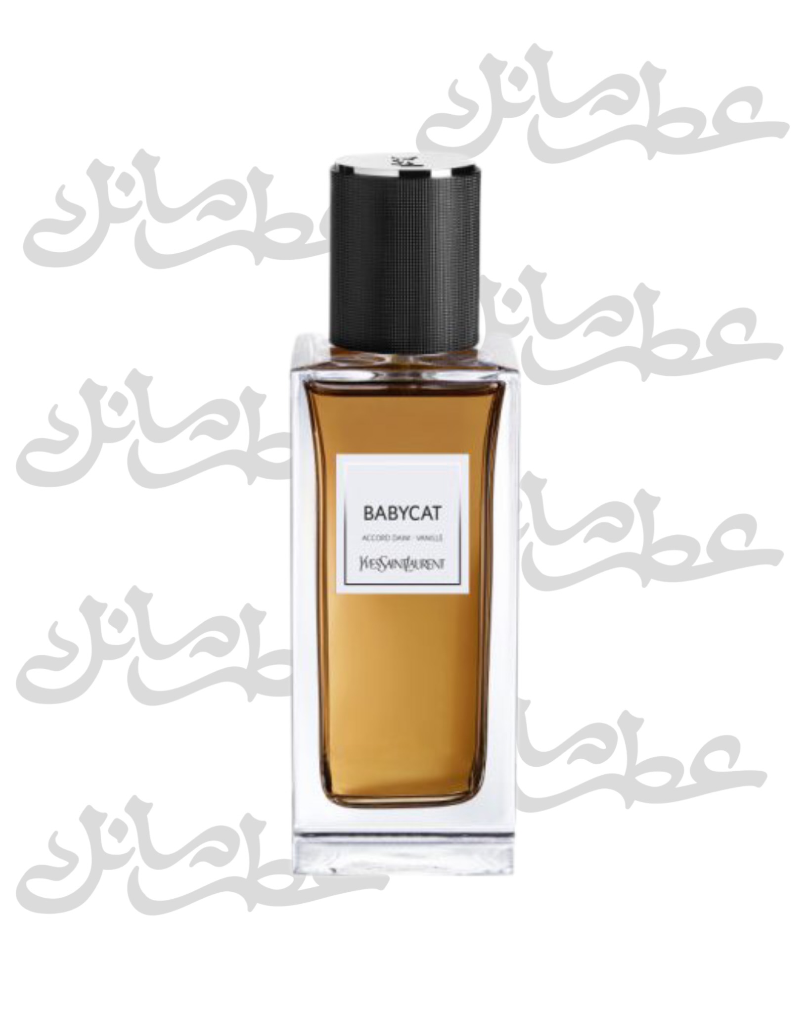 عطر بیبی کت